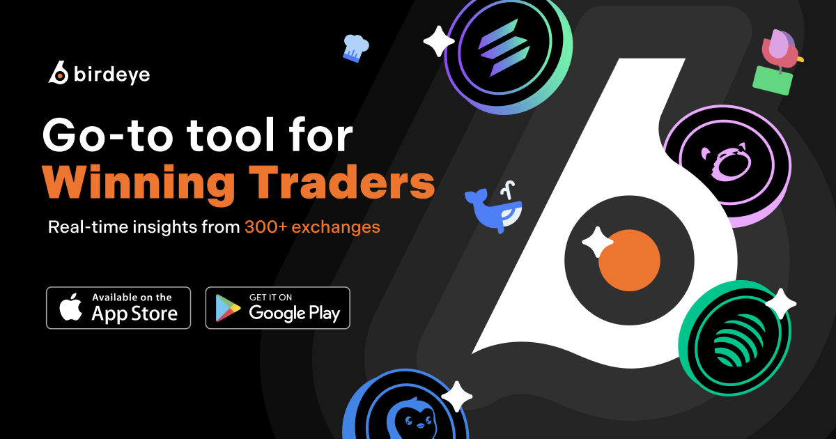 Birdeye crypto analytics platform homepage