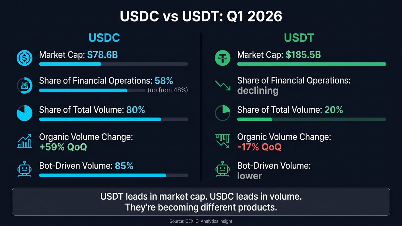 USDC vs USDT Q1 2026 Comparison